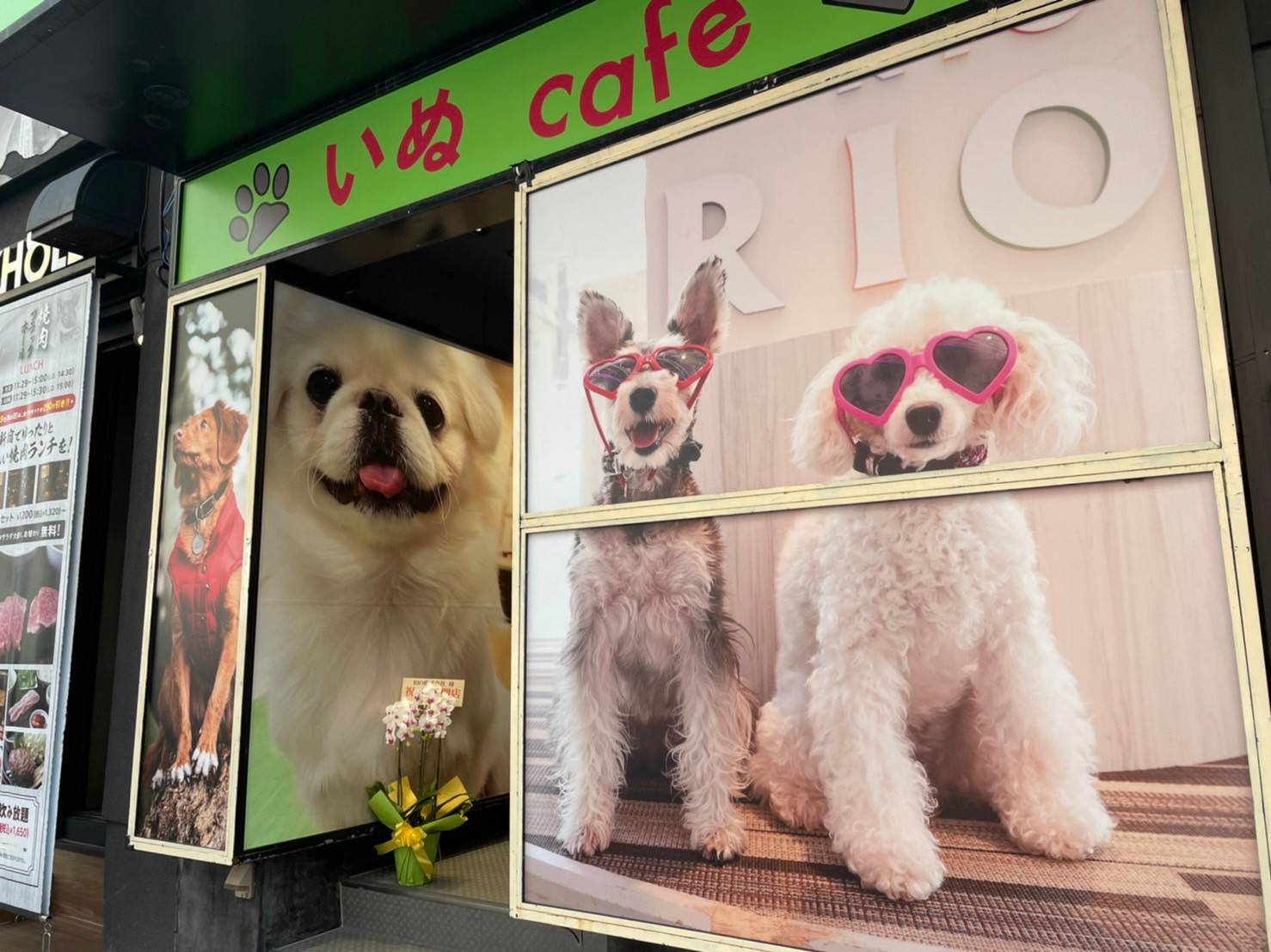 新宿店 犬カフェ Rio