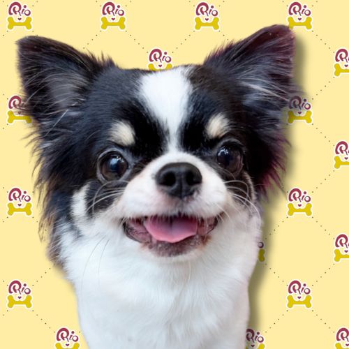 まりる
