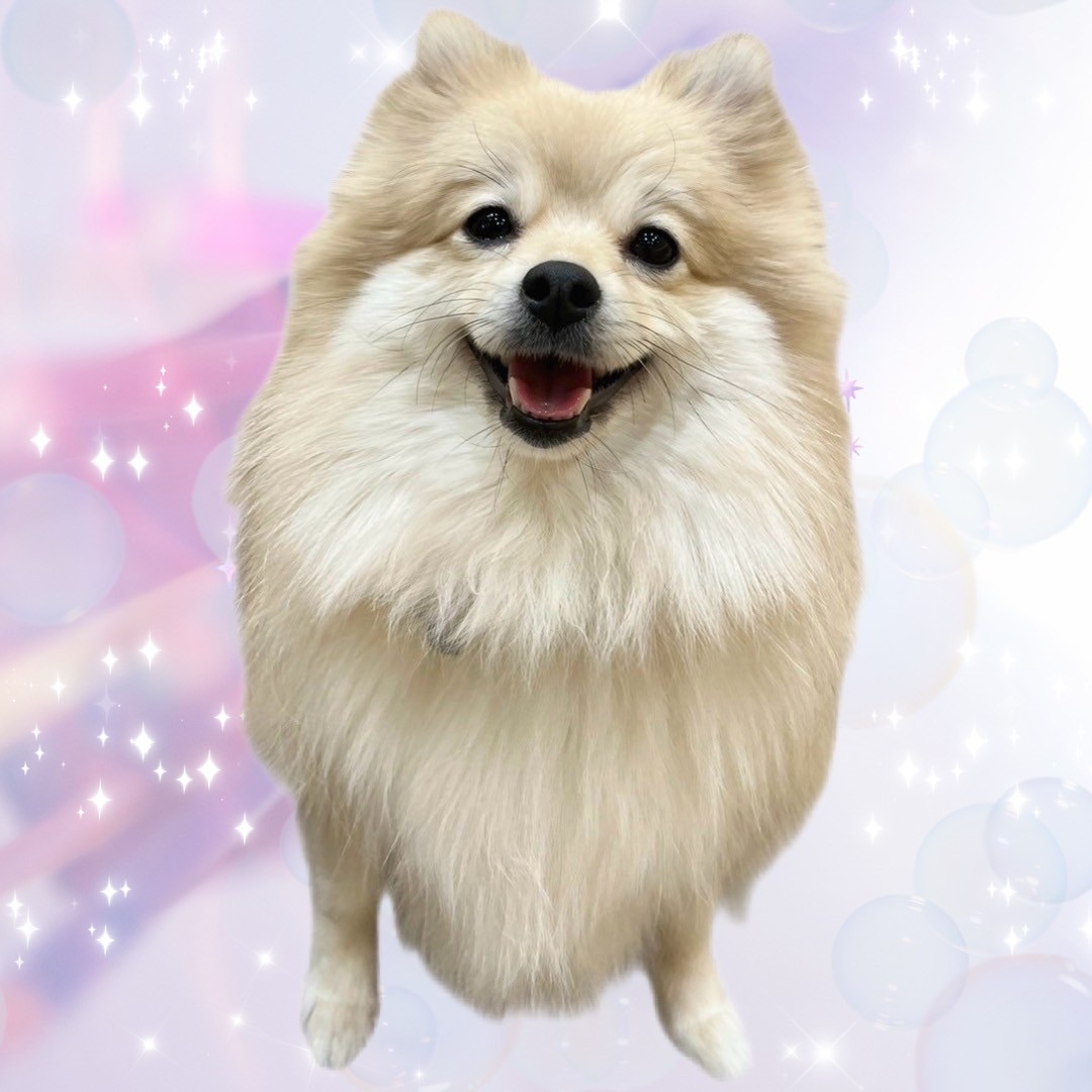 うきわ