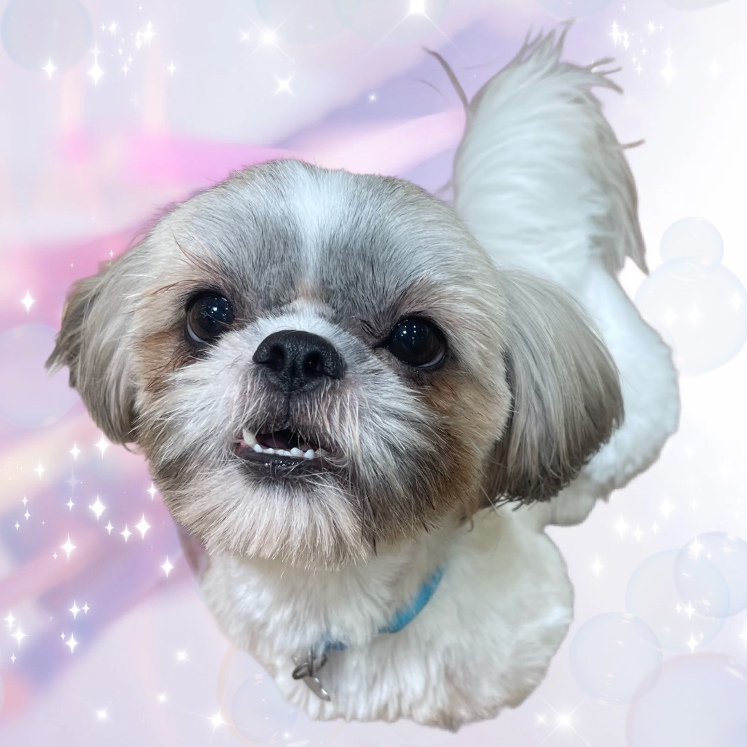 オラフ