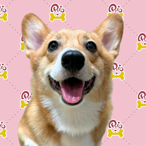 はまち