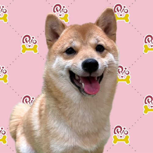 とうか