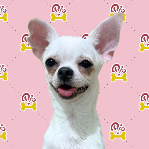にこり