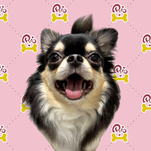ピンキー