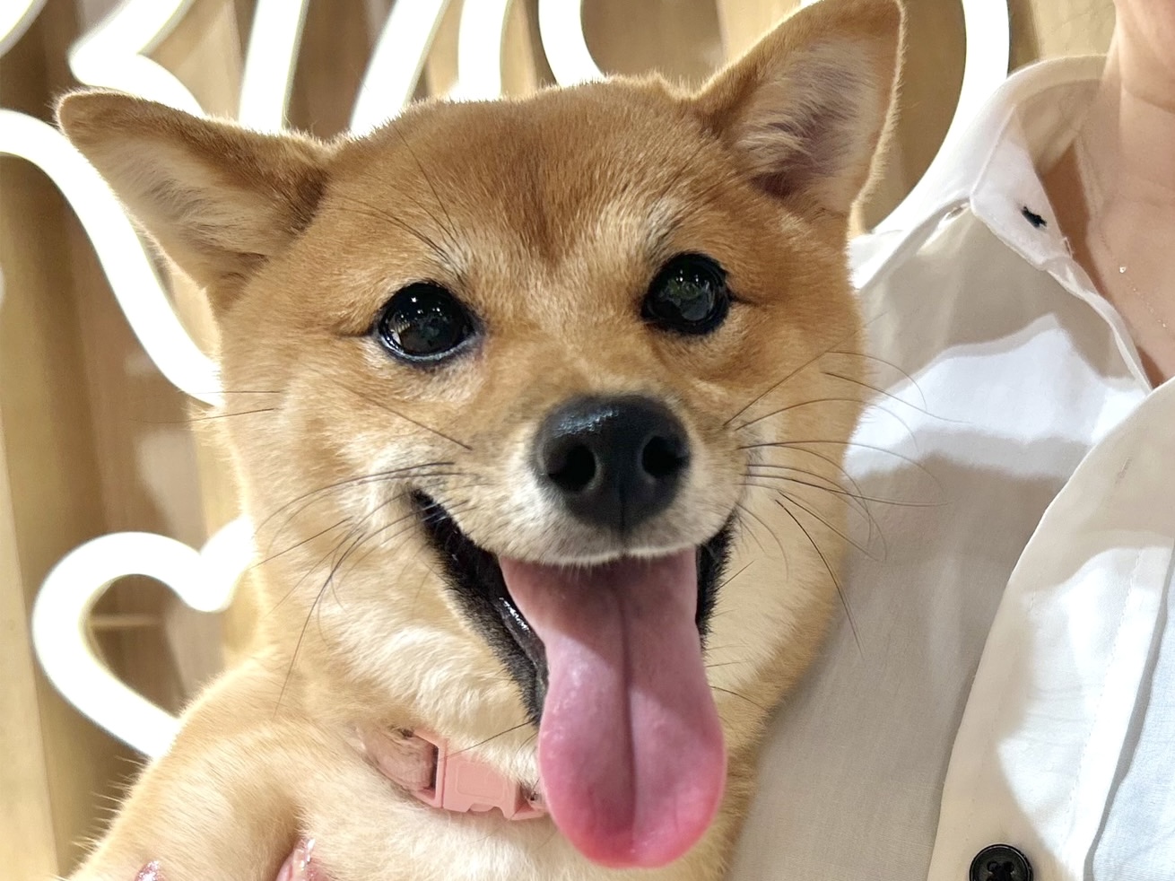 みこと