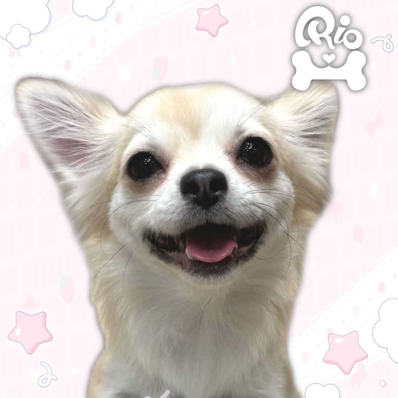 ぐぐ