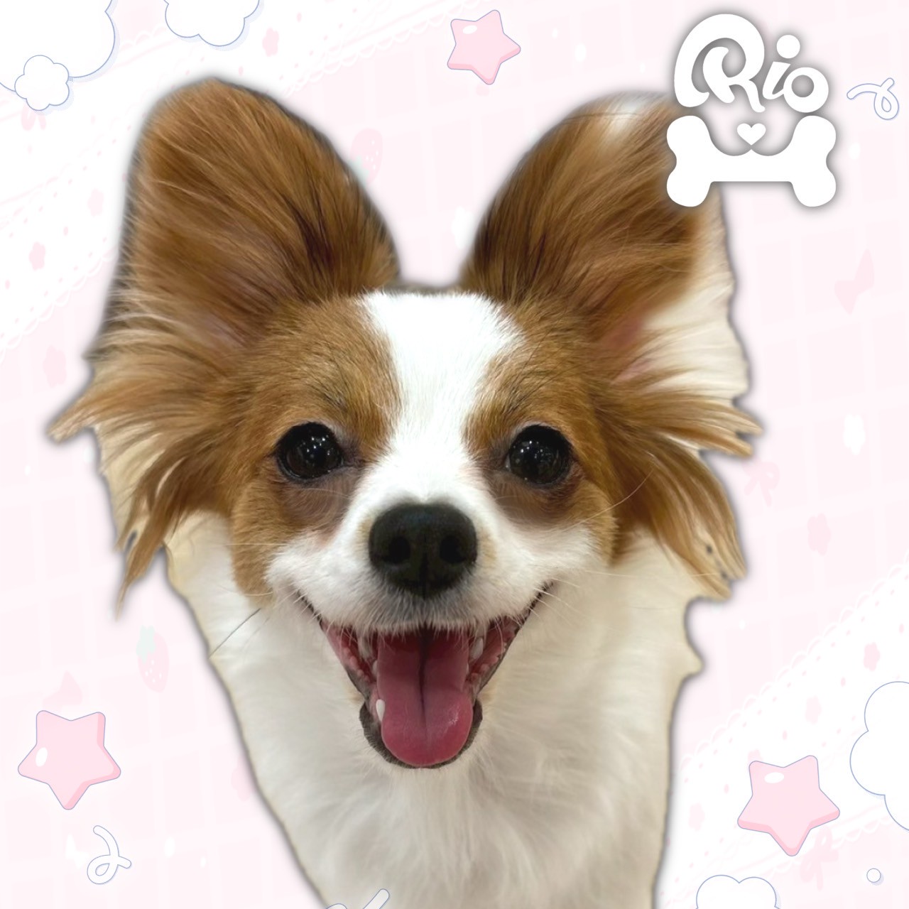 リッツ