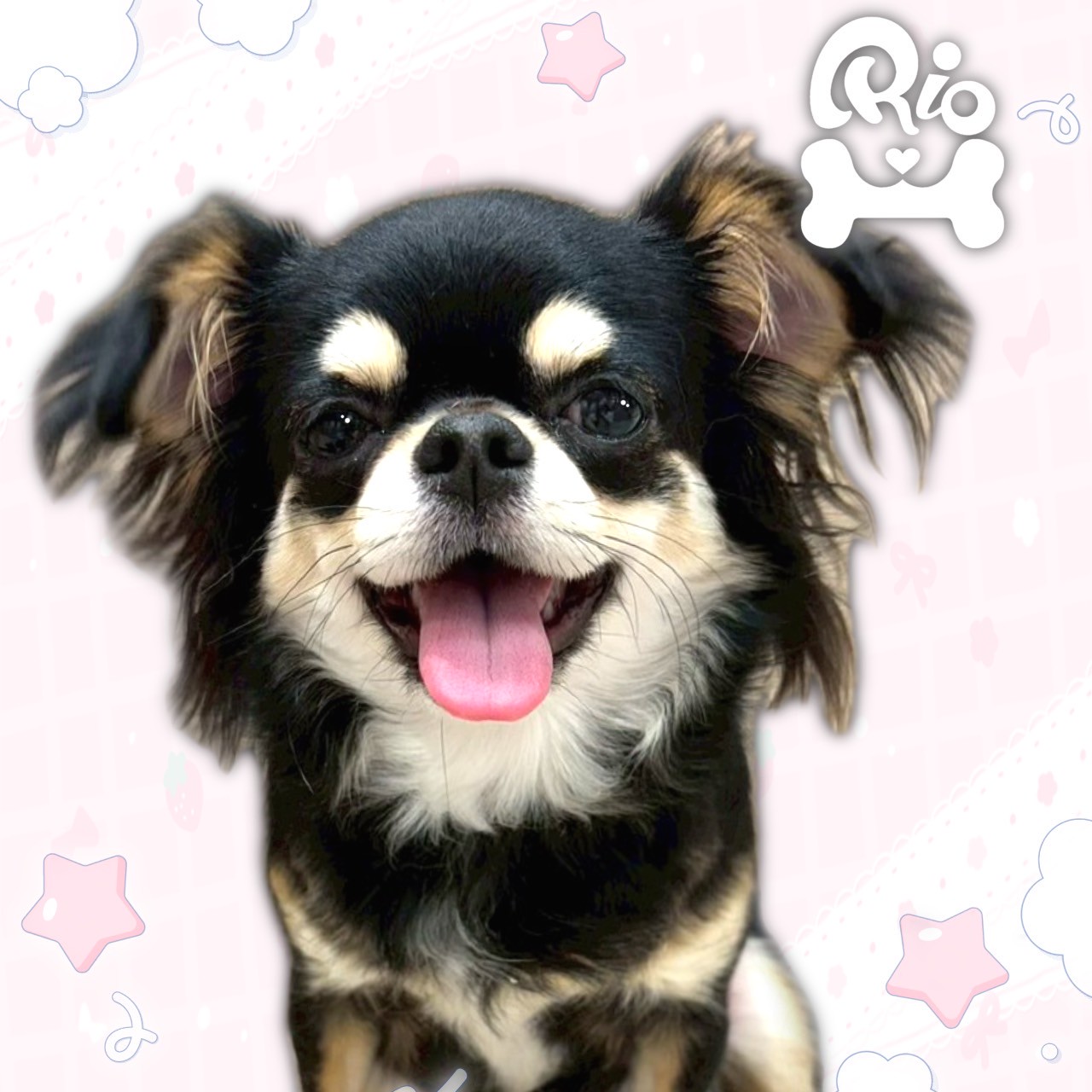 ささ