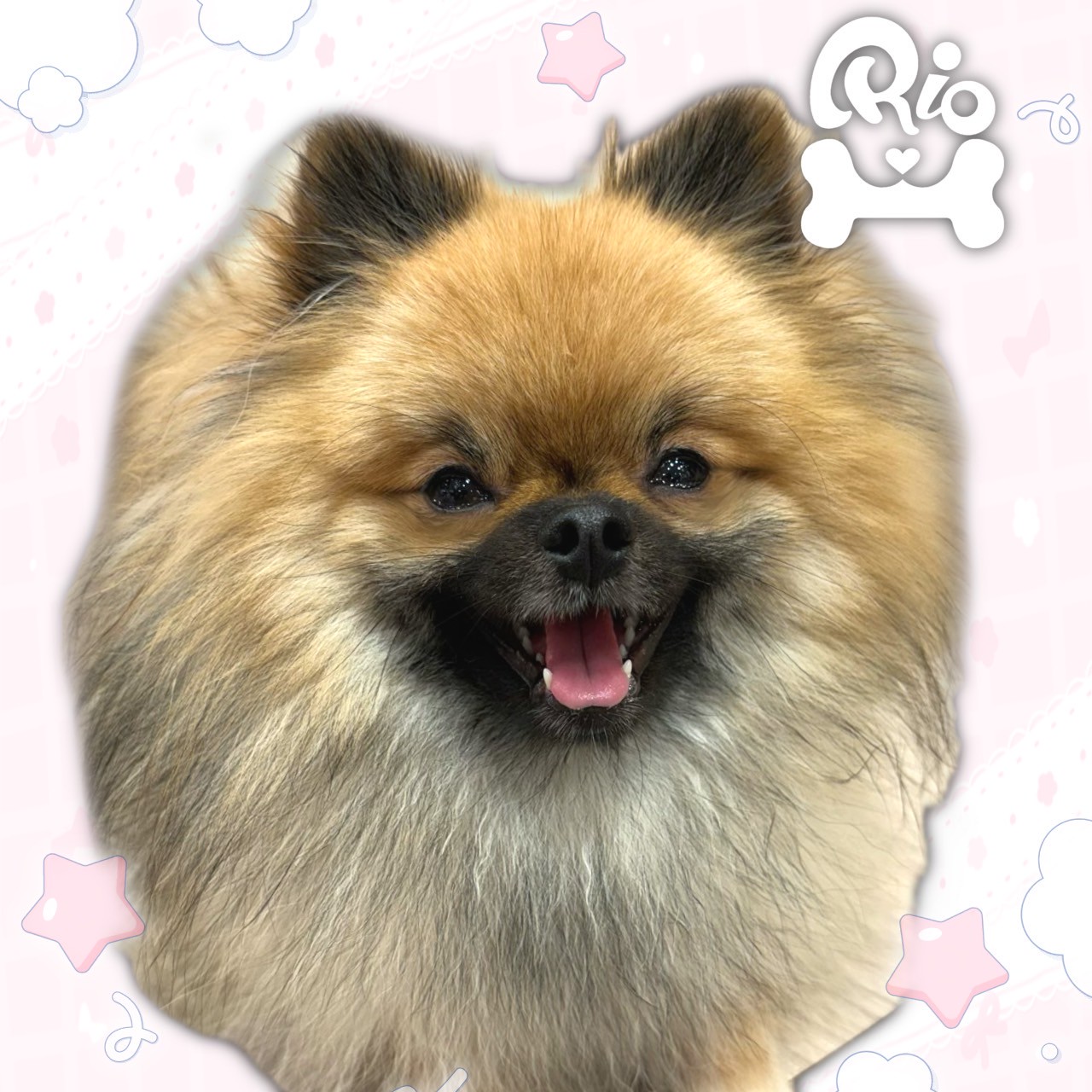 ギガ
