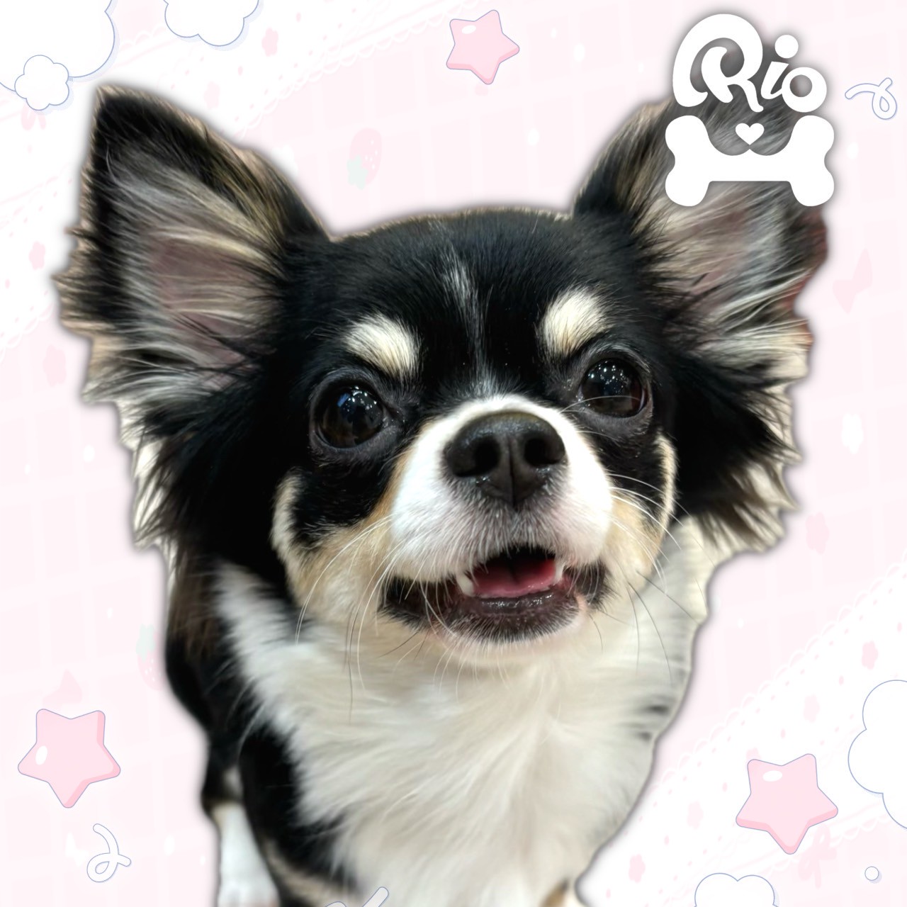ぴん