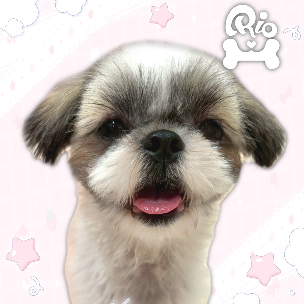 ぷりゅ